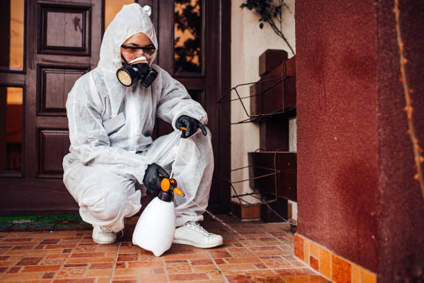 Reliable Cockroach Control contractor in Fifth Ward, LA by Nex Pest Control